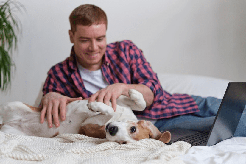 A man and his dog in their cozy, quiet home.